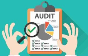 Company Audit Report